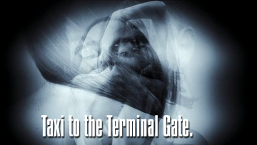 Taxi to the Terminal Gate. Pan-American.
