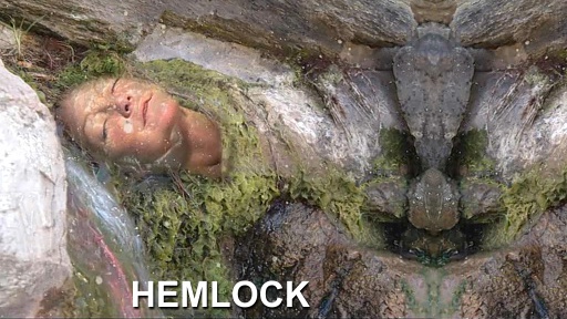 Hemlock